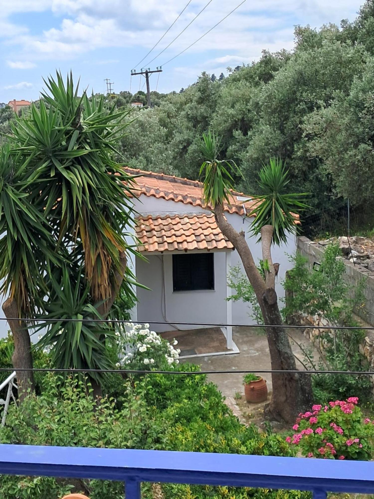 Camelia studios Skiathos Exterior foto