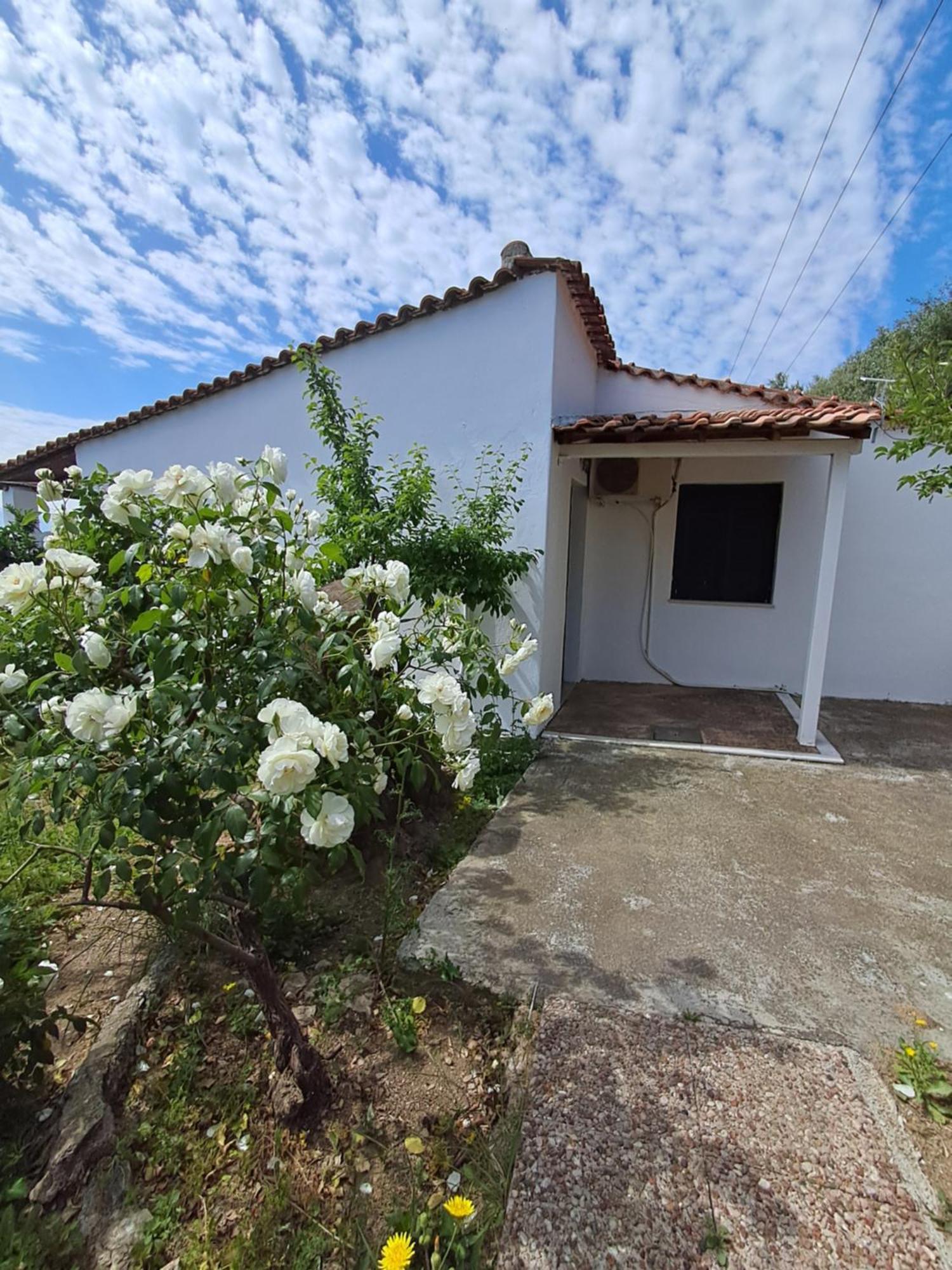 Camelia studios Skiathos Exterior foto